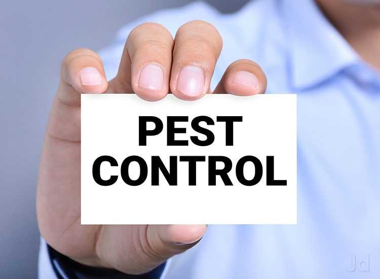 Golden leaf one of the best pest control company in Dubai.