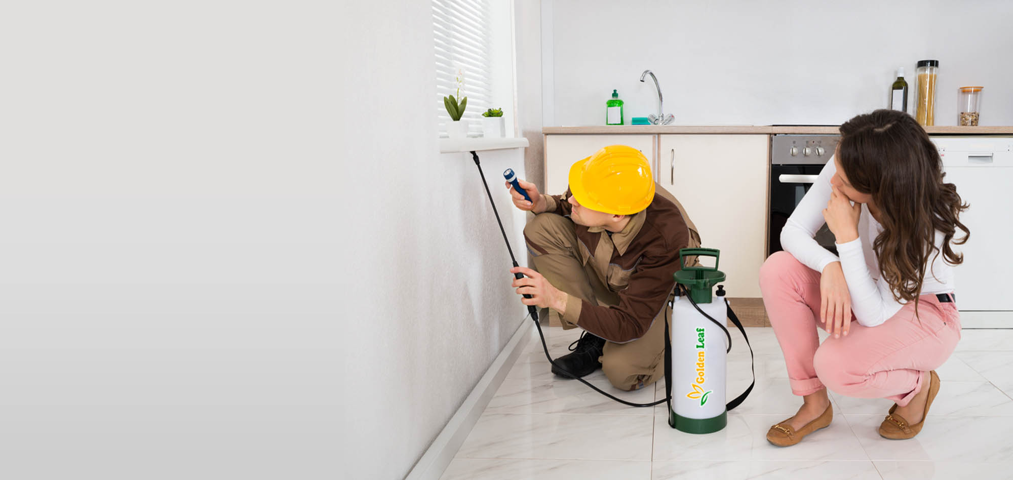 Pest Control Dubai